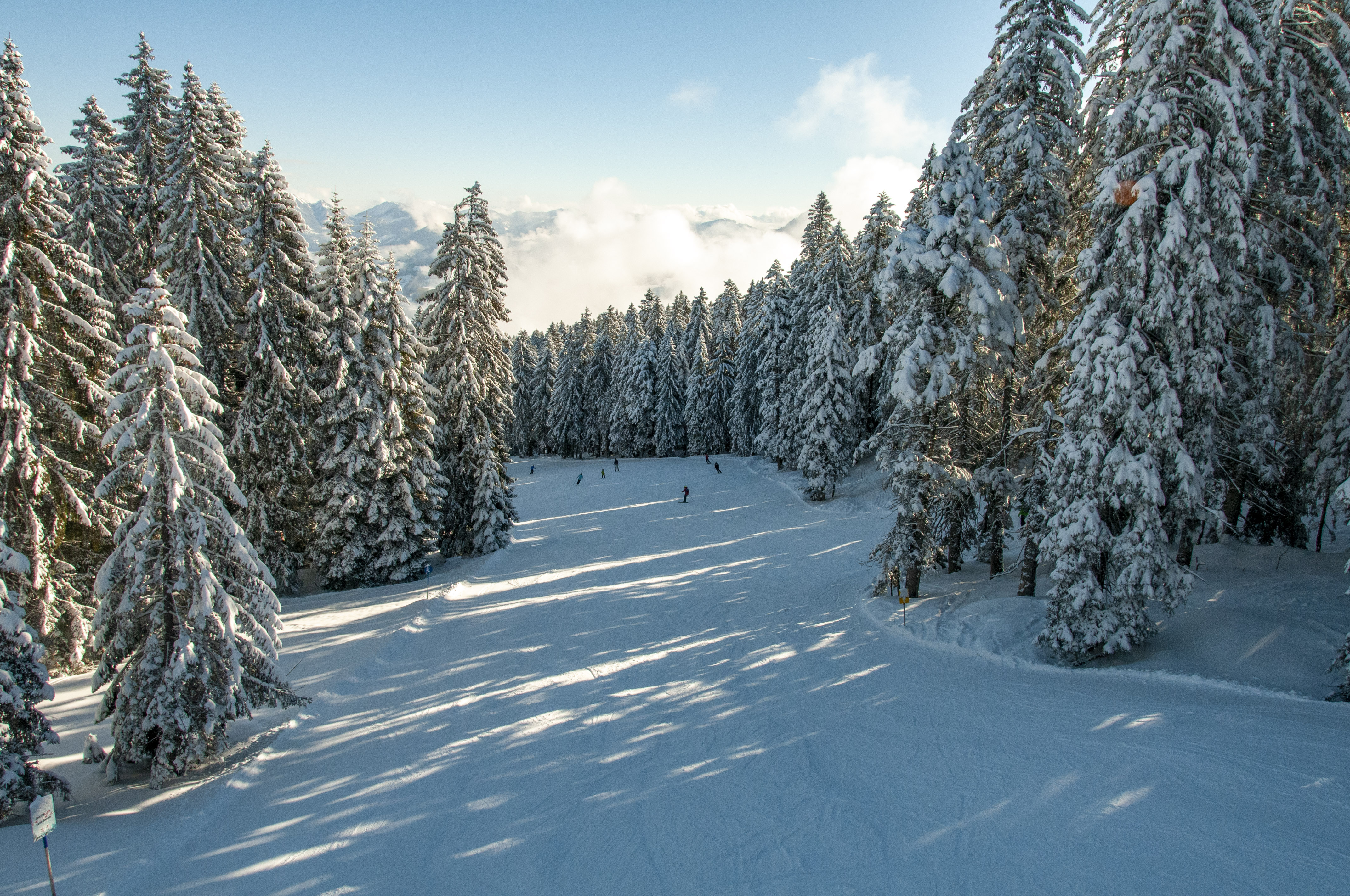 Skigebiet Bödele, Lank, Waldabfahrt / Copyright© Jürgen Kostelac, Tarifgemeinschaft Bödele